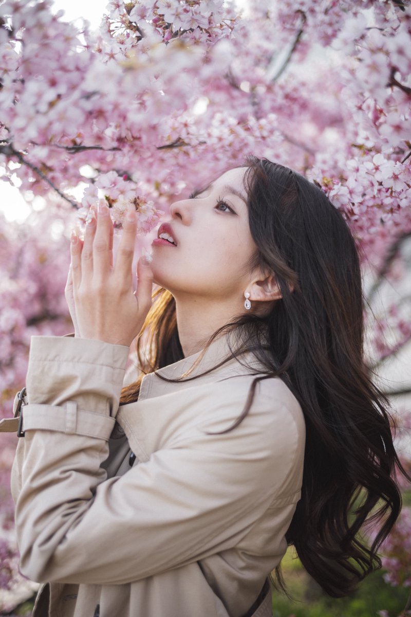 乾きモノ tweet media