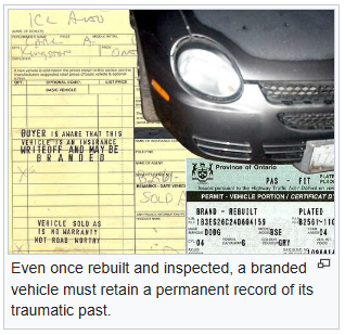 Wriggle Nightbug tweet media