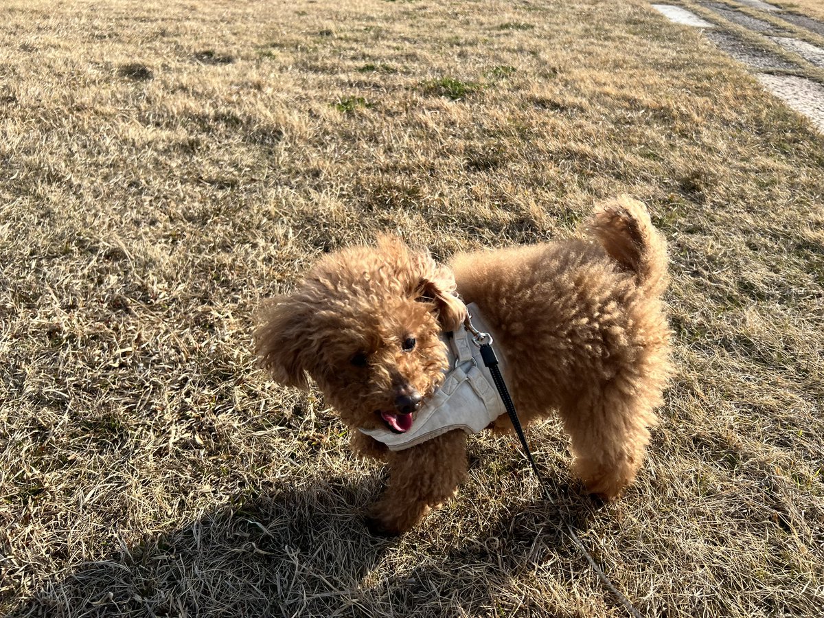 🌸2011.10.11（14歳5ヶ月） tweet media