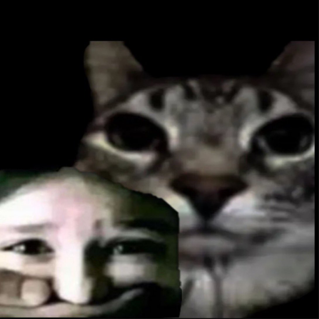 Abdulkadir tweet media