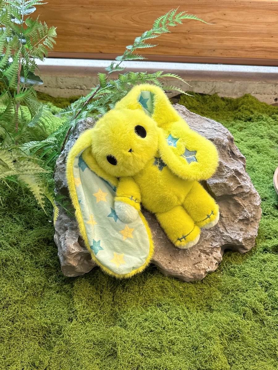 Plushie Dreadfuls tweet media