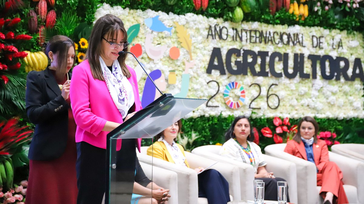 Vicepresidencia tweet media