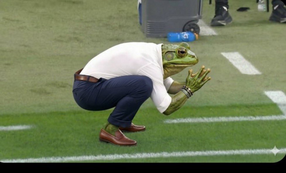 نيفيزه tweet media