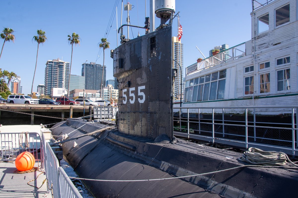 Stephen Procter tweet media