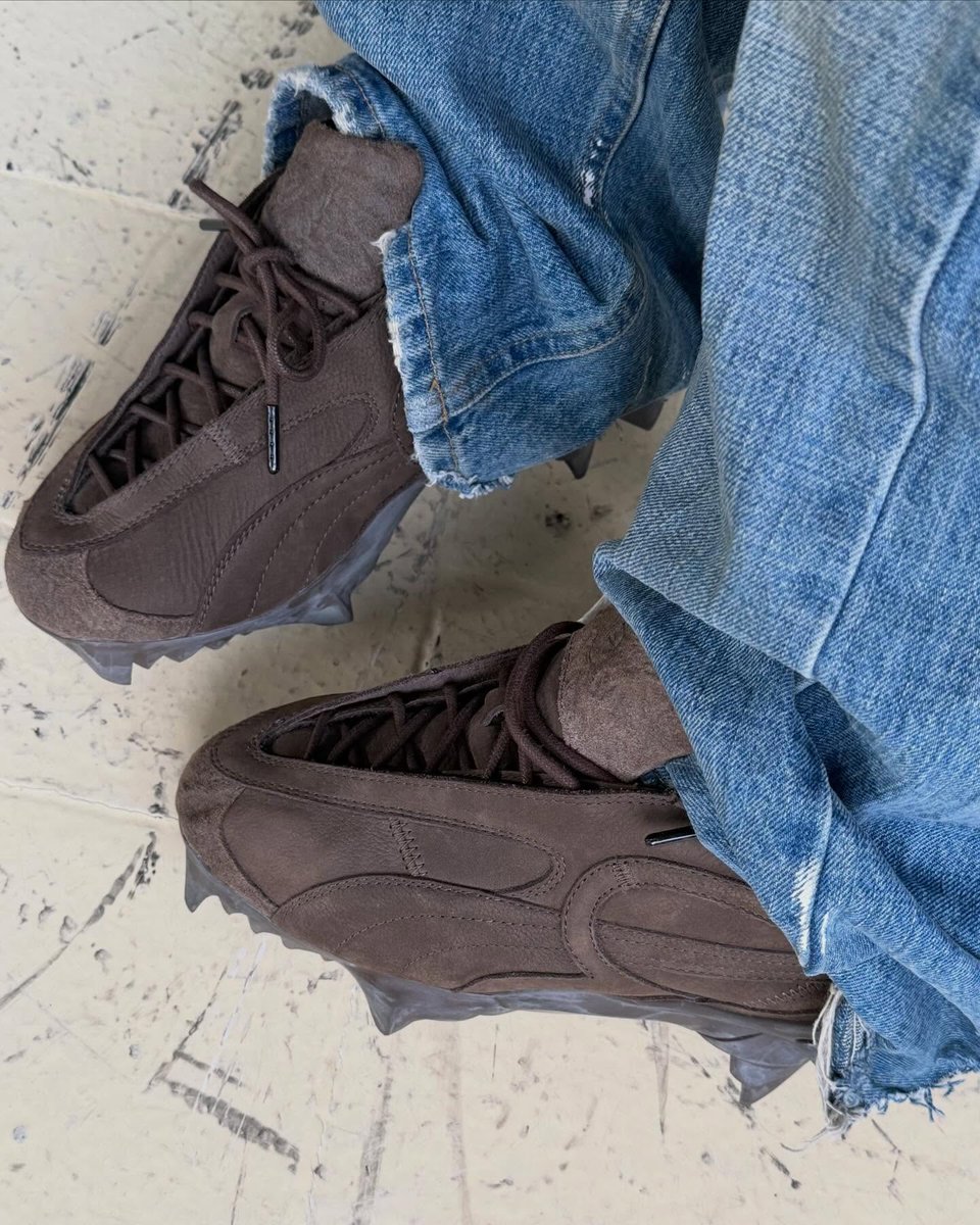 Modern Notoriety tweet media