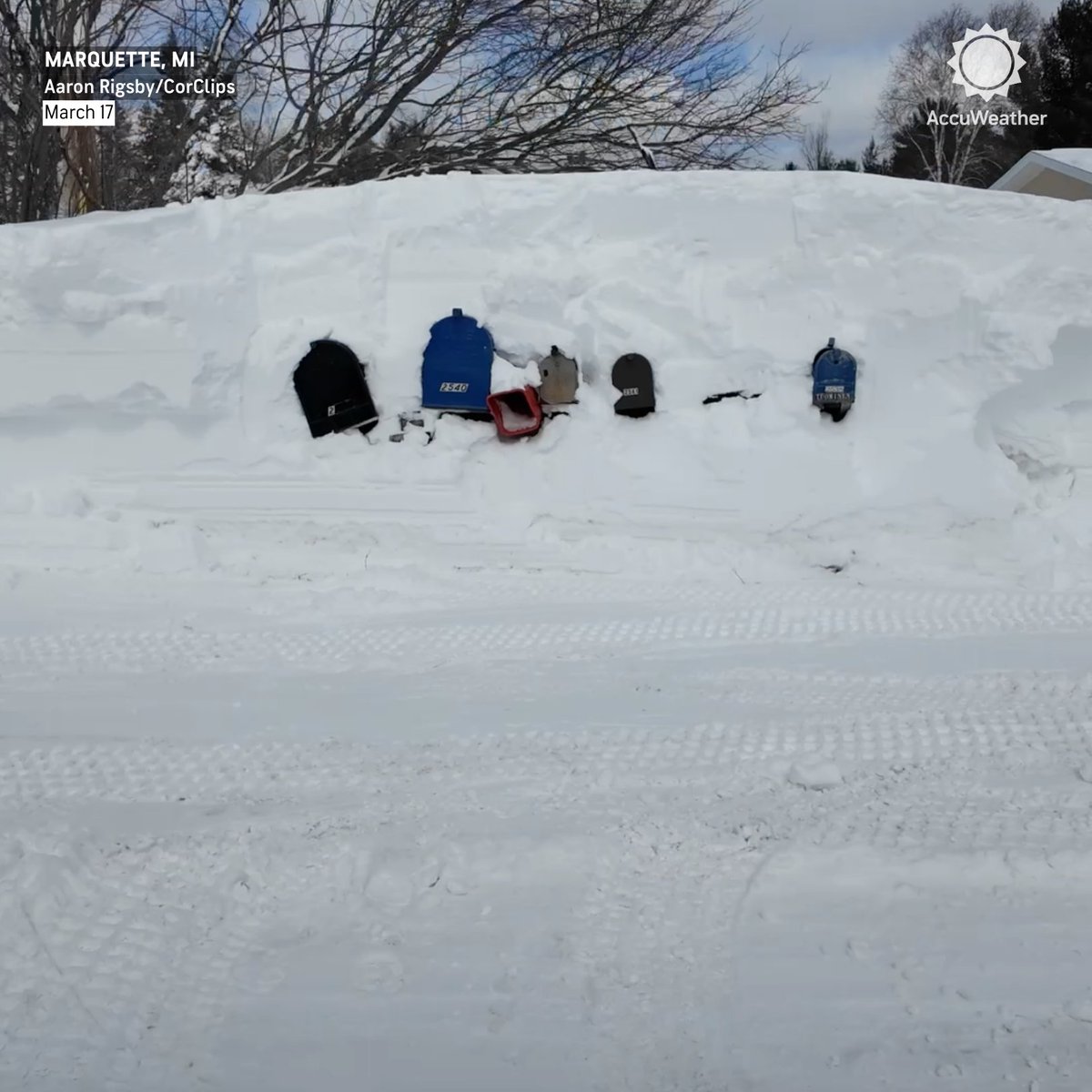 AccuWeather tweet media