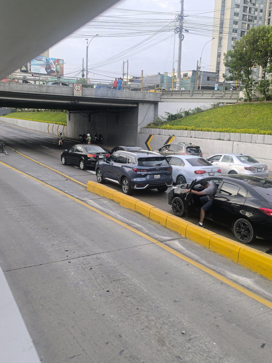 jmartindpgpe tweet media