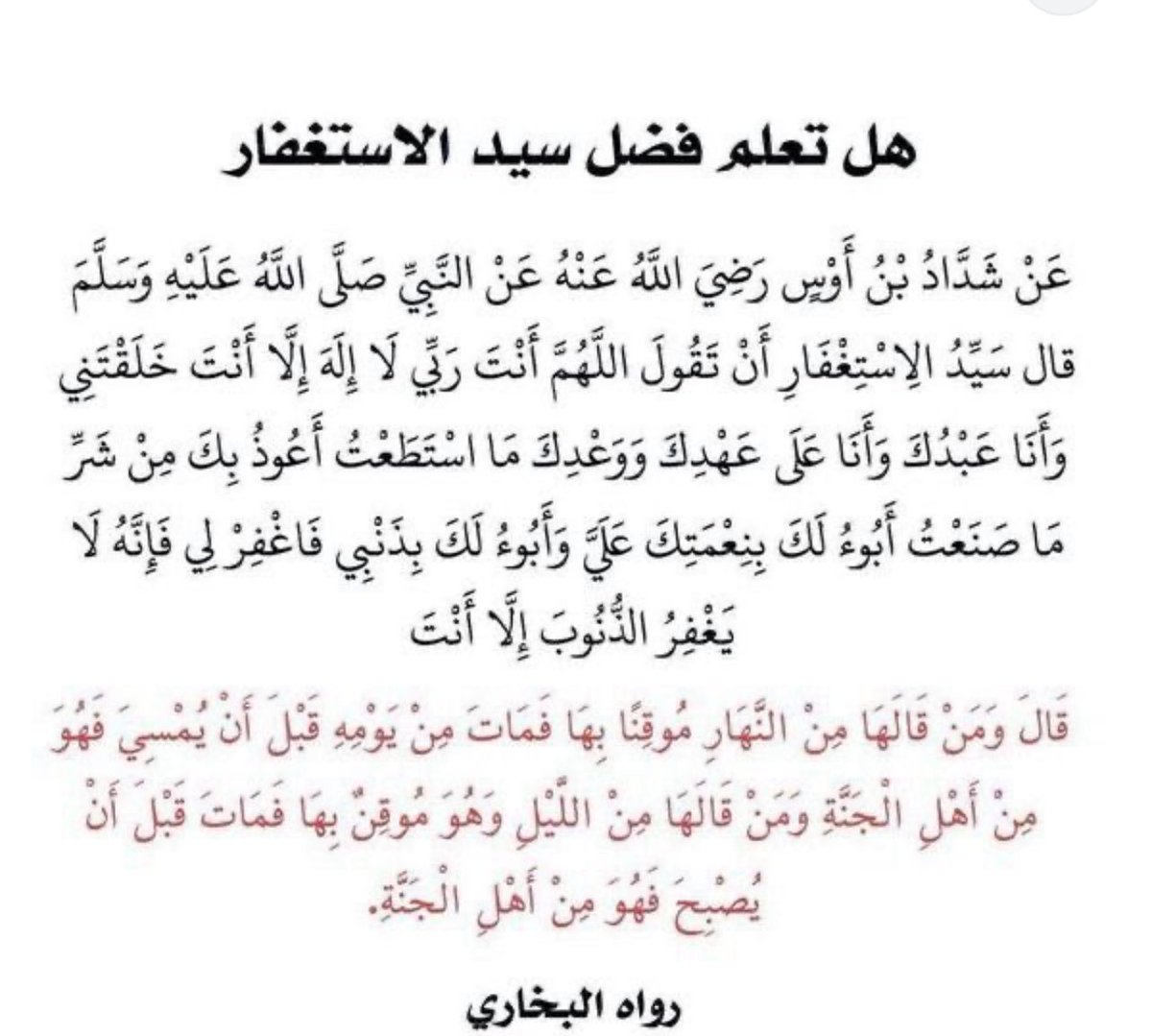 Totah 🦢 tweet media