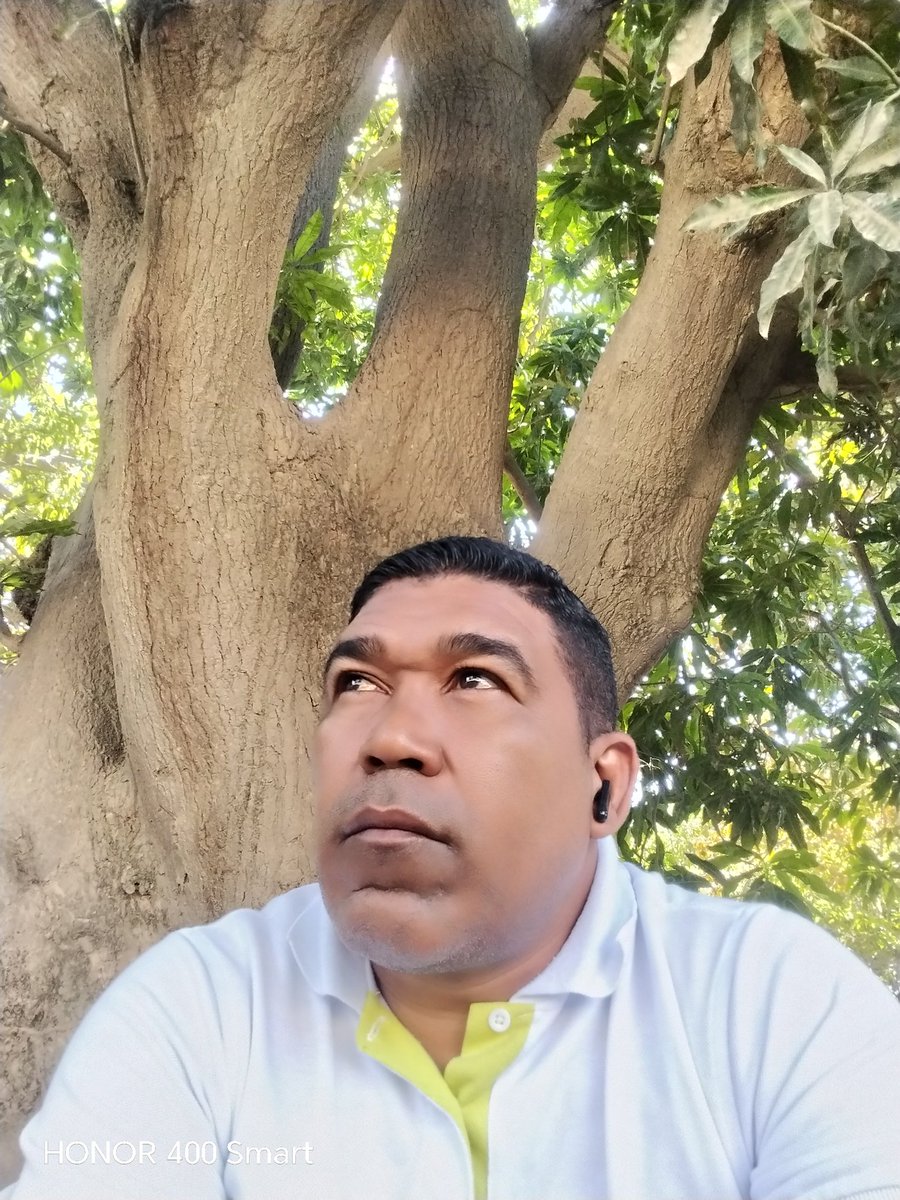 Ronal Britto tweet media