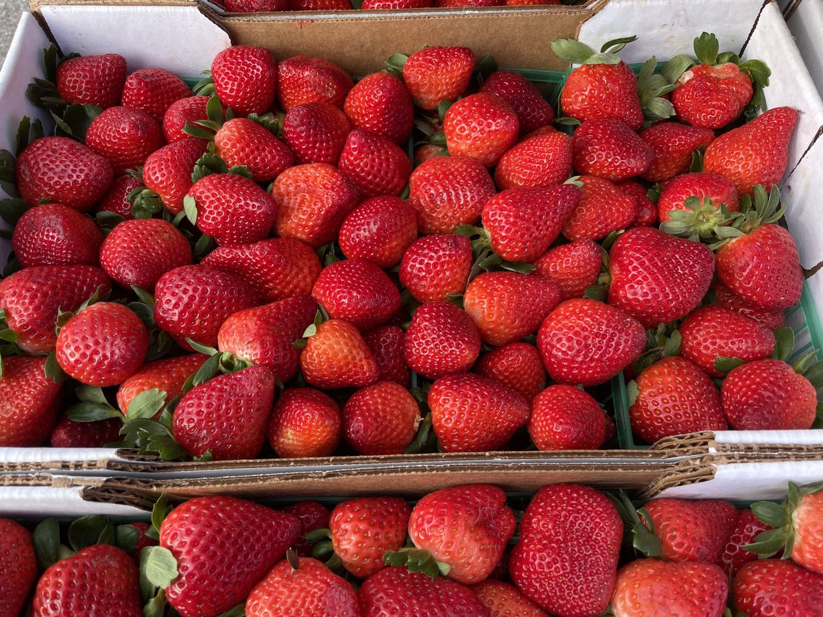 John Johnson tweet media