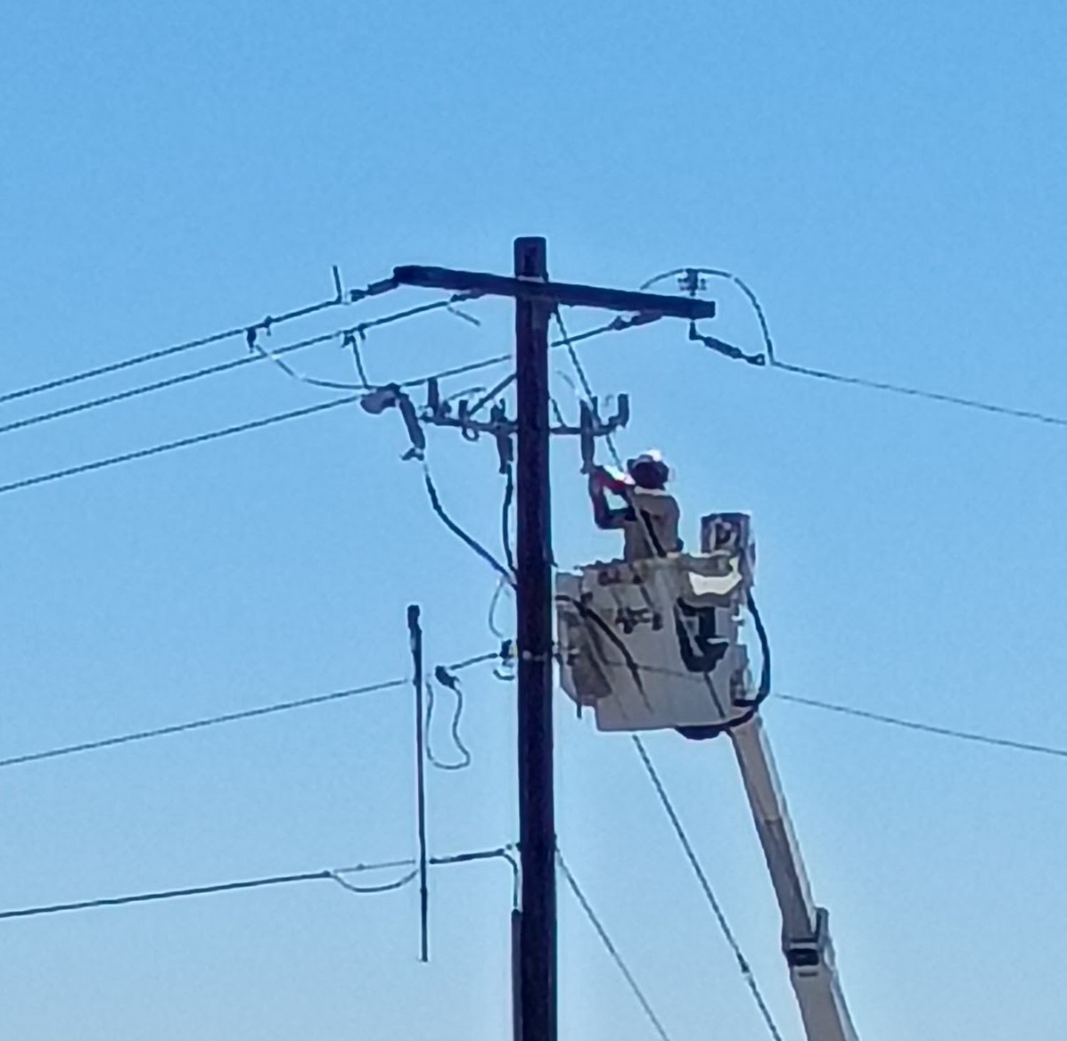 🇺🇲🩸 TAZMINATOR 🩸🇺🇲 ✝️ JOHN 3:16 ✝️ tweet media