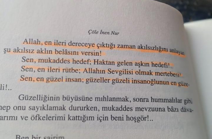 "Allah en ileri dereceye çıktığı zaman akılsızlığını anlayan şu akılsız aklın belasını versin"