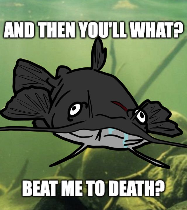 Kal the Catfish tweet media