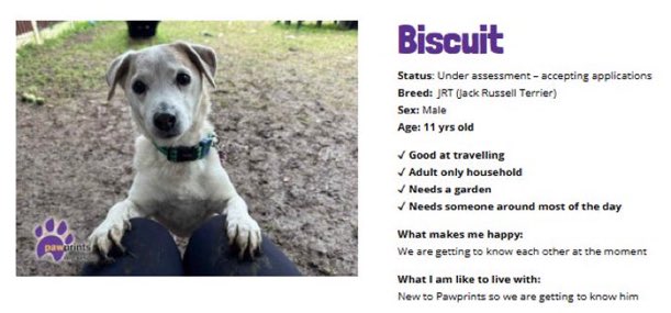 Lisa Clare Read 💙 tweet media