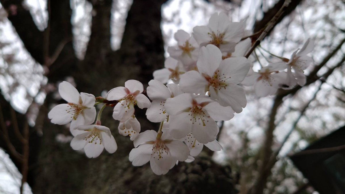 🫜ひよりん🍋‍🟩 tweet media