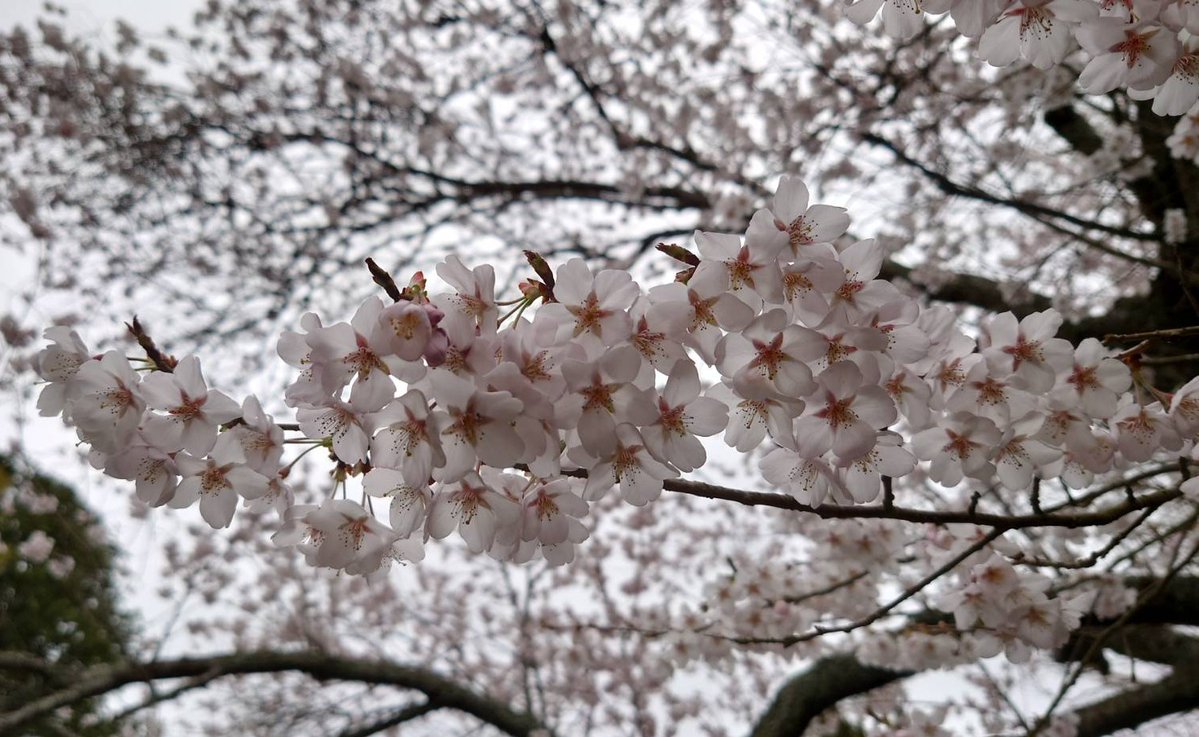 🫜ひよりん🍋‍🟩 tweet media