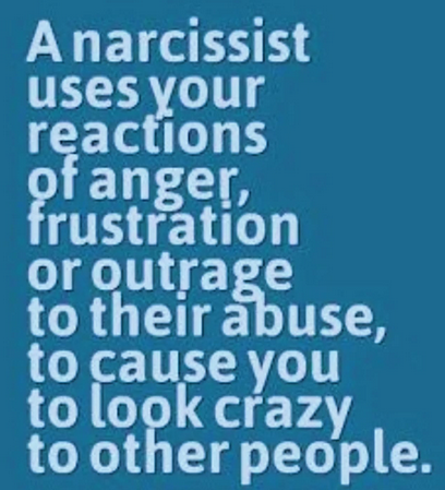 The Narcissist Box tweet media