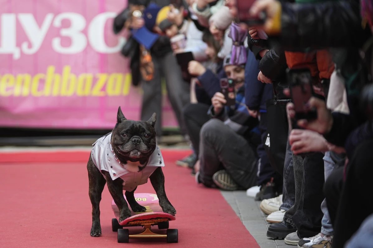 RealBoringHousewife💋😎 tweet media