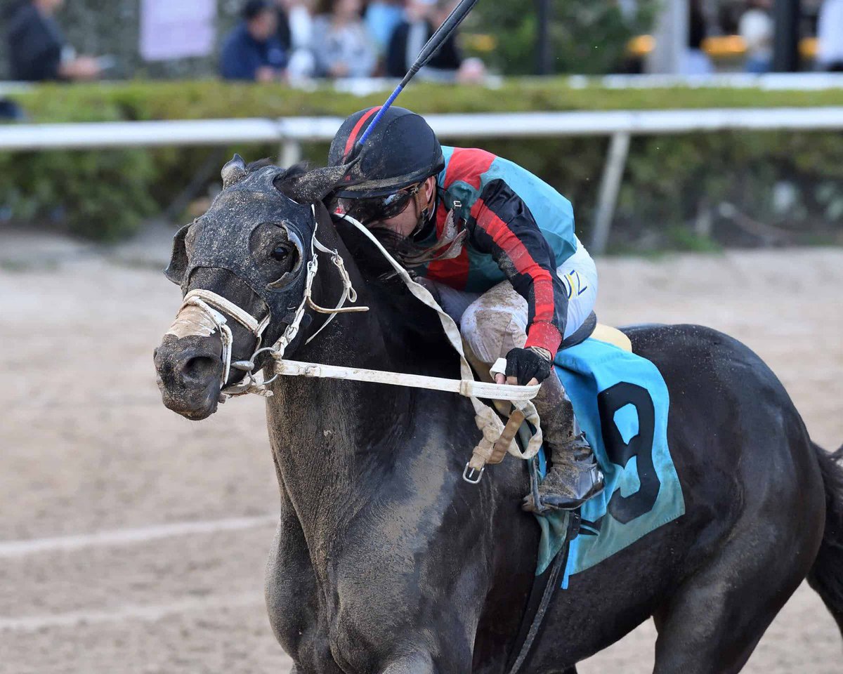 Paramount Sales tweet media