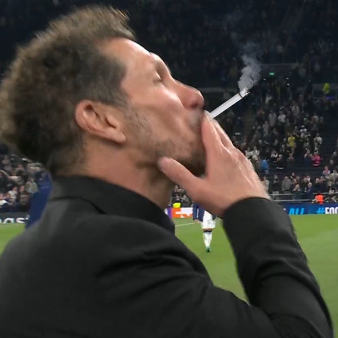 sting🇭🇺 tweet media