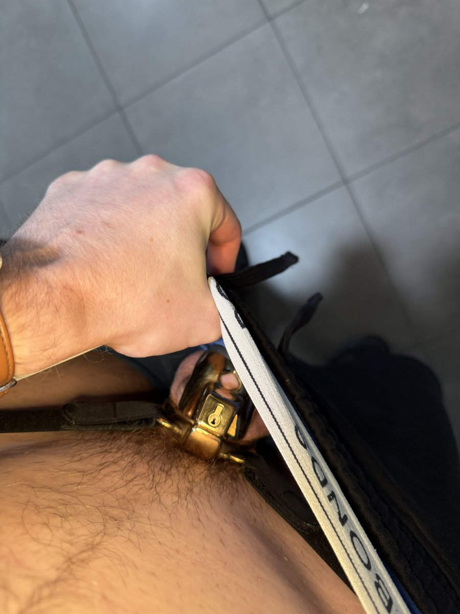 Paladin Danse tweet media