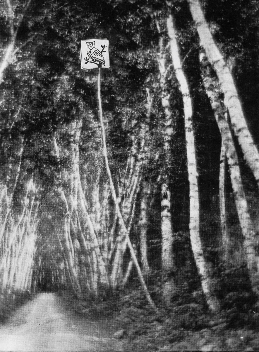 718video tweet media