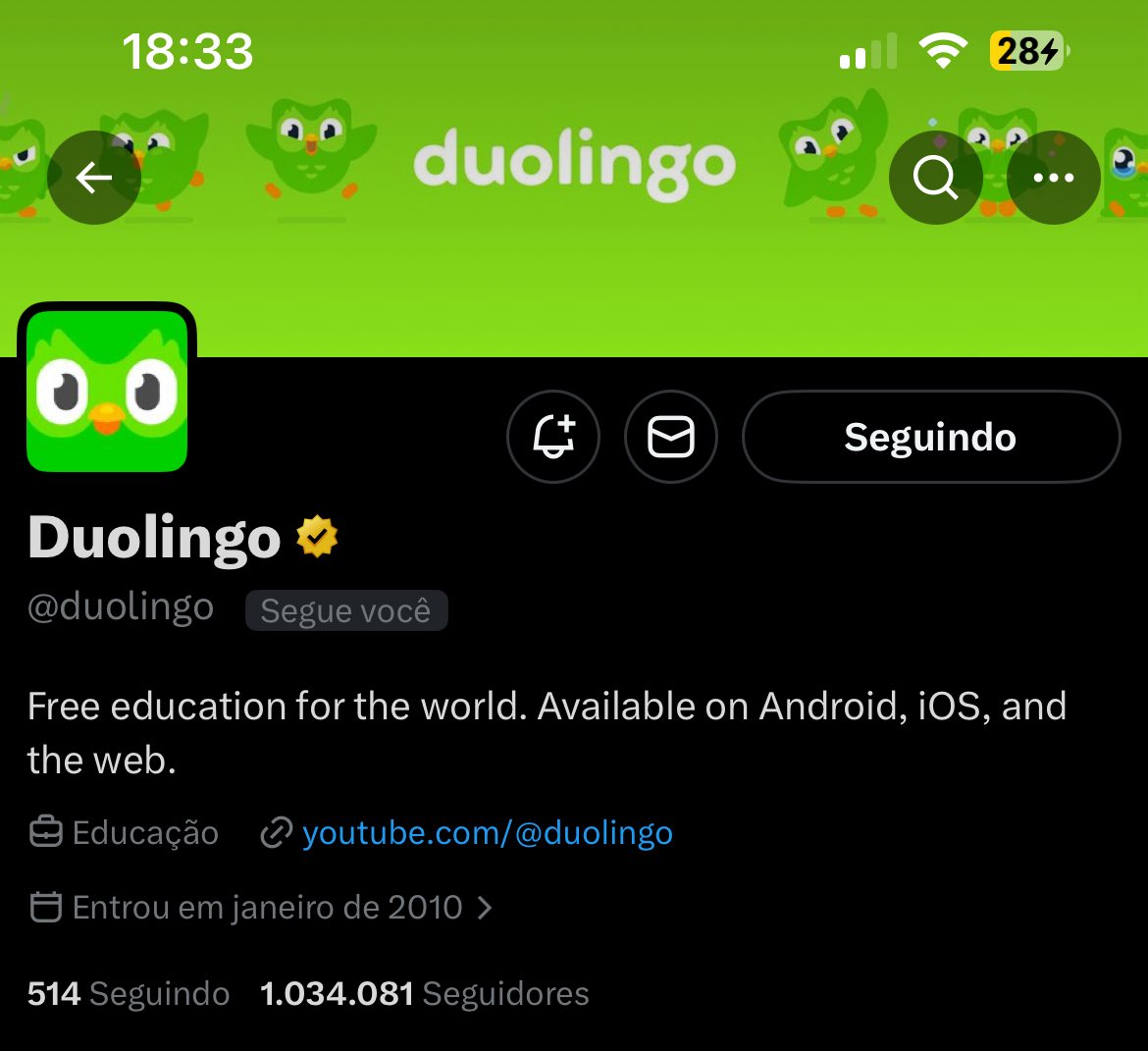 Duolingo Brasil 🇧🇷 tweet media