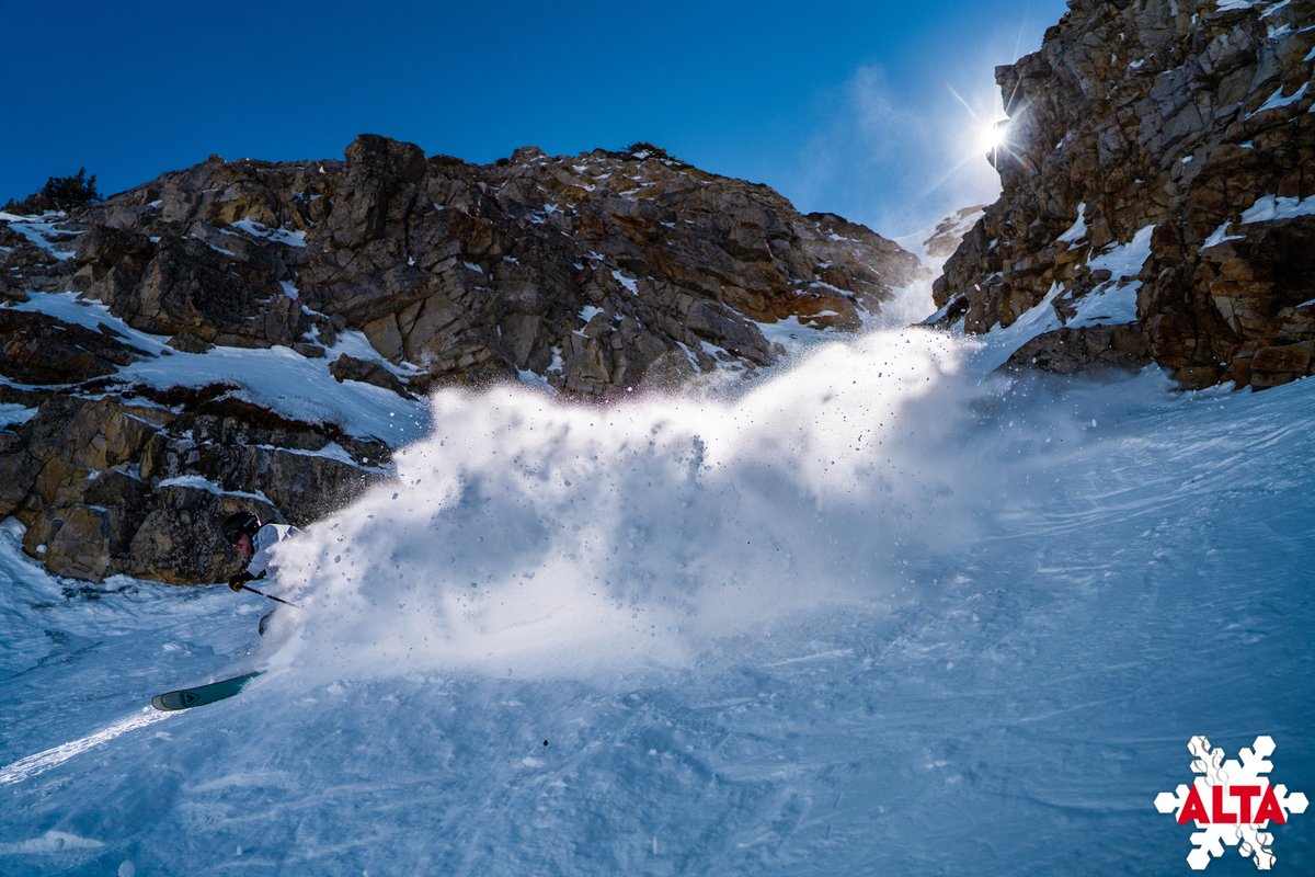 Alta Ski Area tweet media