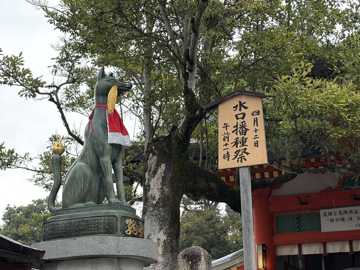 Jelia@✈️🎹♨️🐱☕️🥐🇩🇪🇪🇸好き tweet media