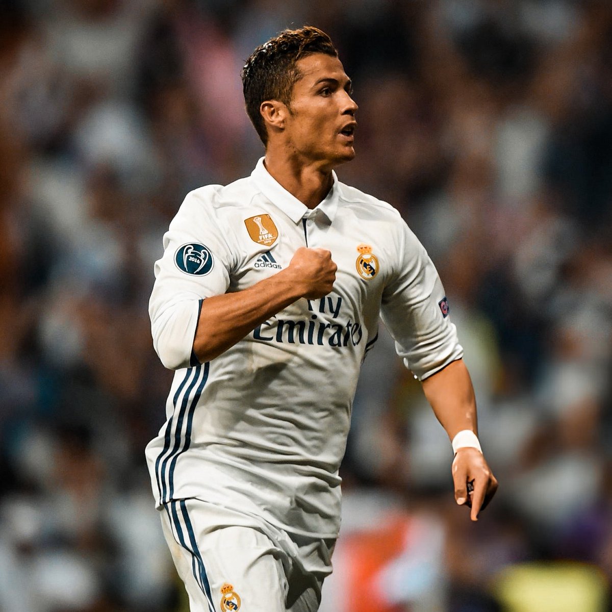 Madrid Zone tweet media