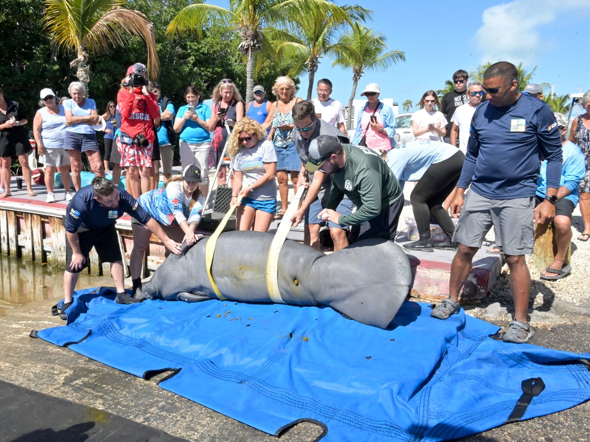 Zoo Miami tweet media