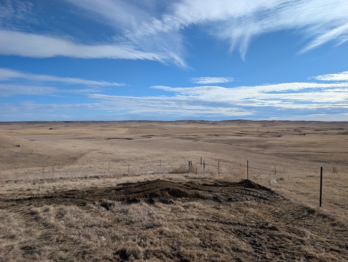 Luke Perman tweet media