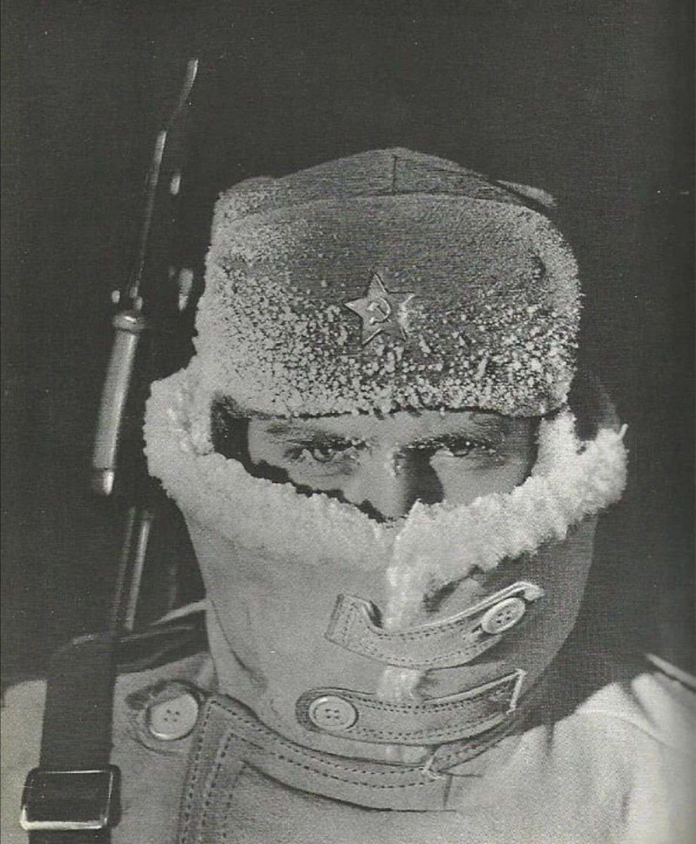 BasedBiohacker tweet media