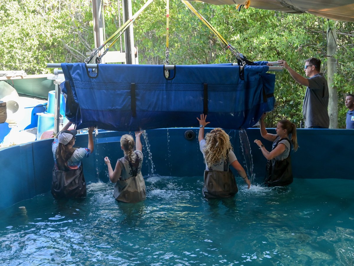 Zoo Miami tweet media