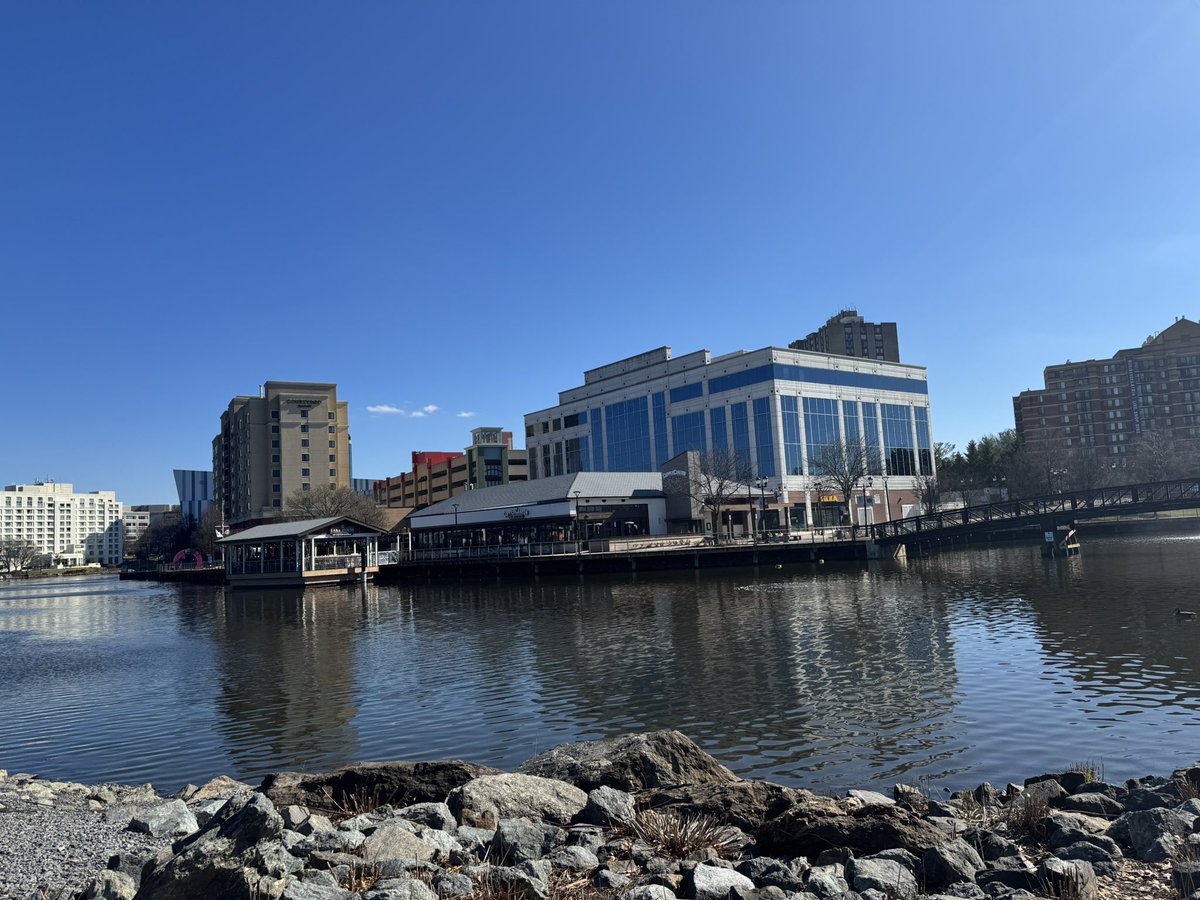 (Pat) Lady C Fan tweet media