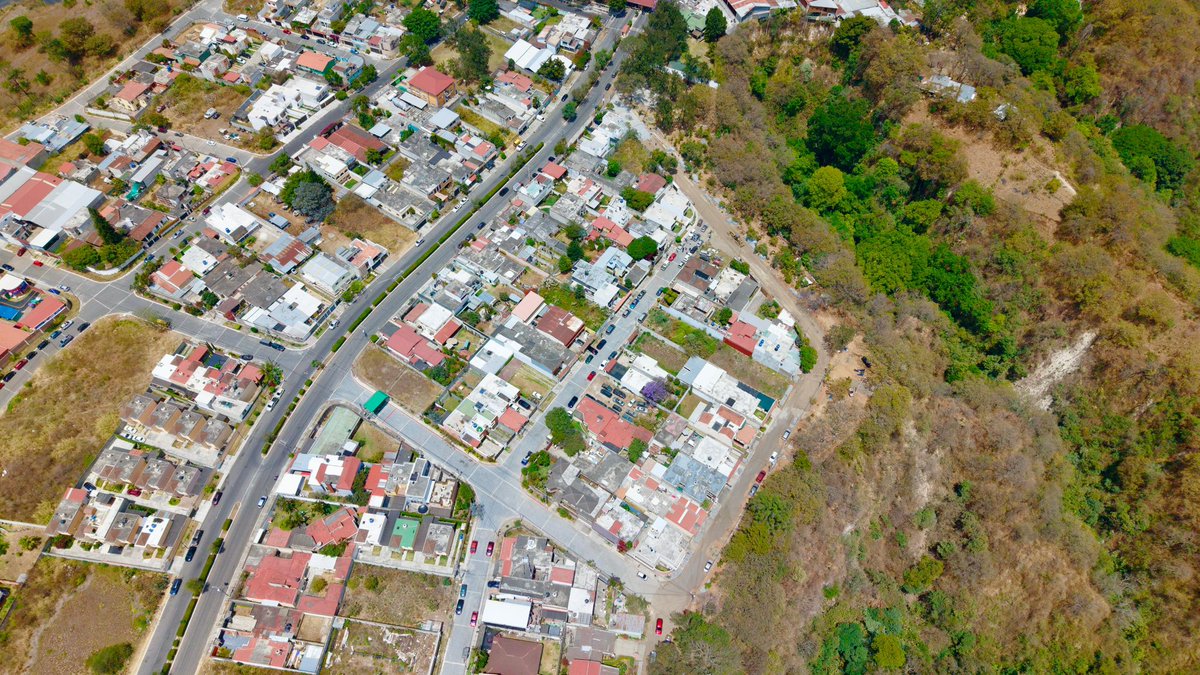 NetoBran tweet media