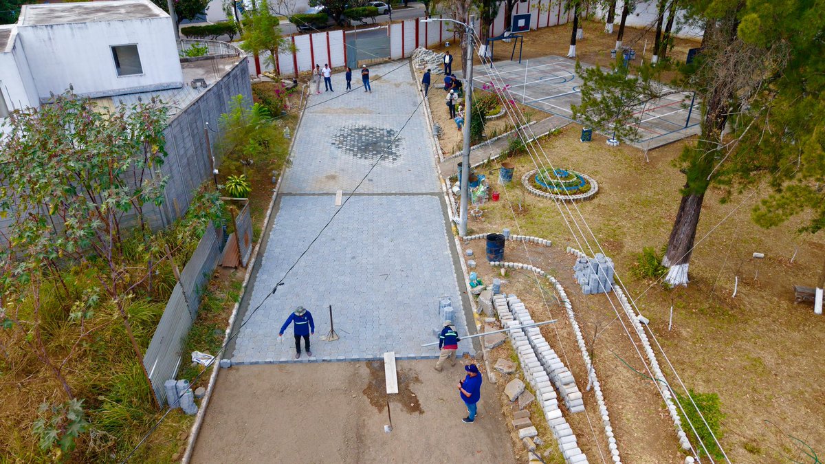 NetoBran tweet media