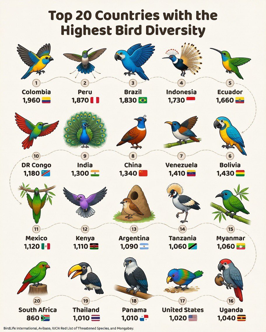 Cata Paul 🃏 tweet media