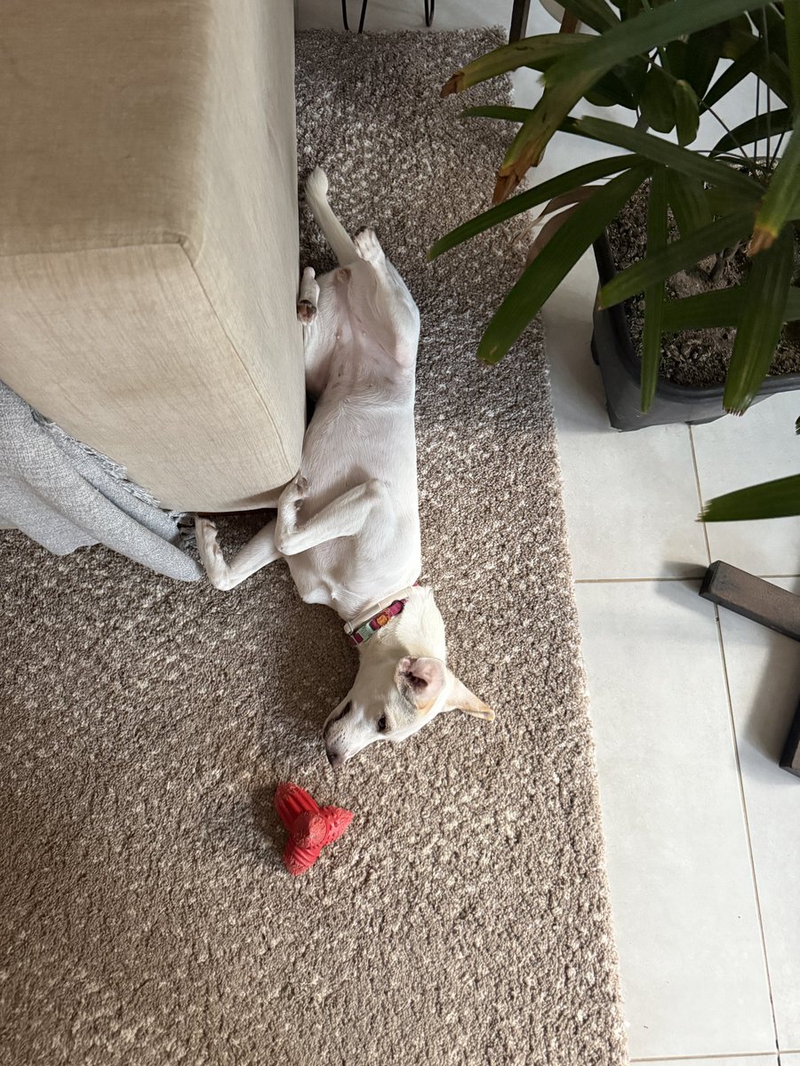 anna terra 🌍 tweet media