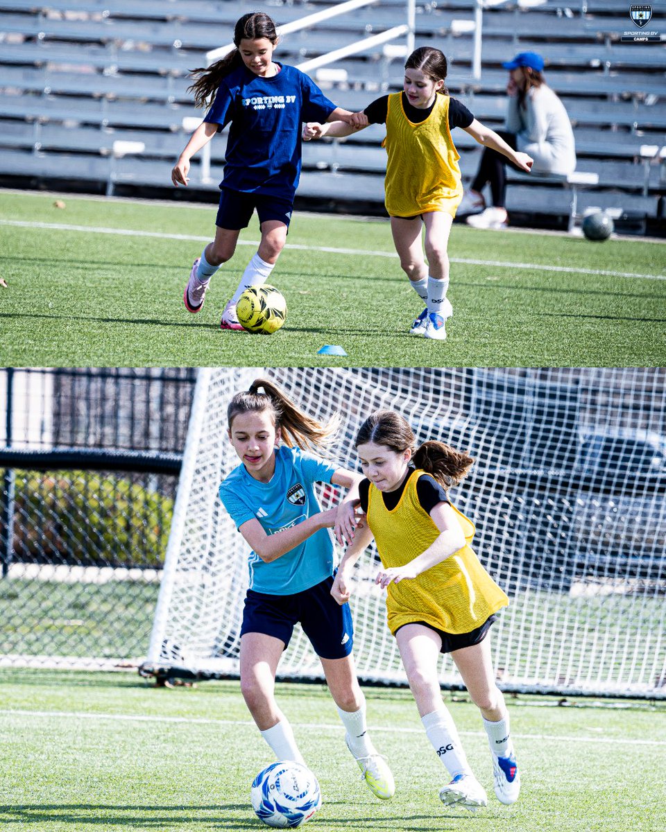 SPORTING Blue Valley tweet media