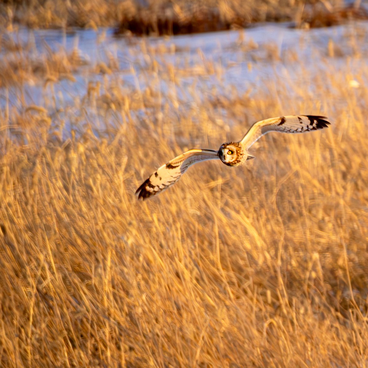 Dan Stambaugh tweet media