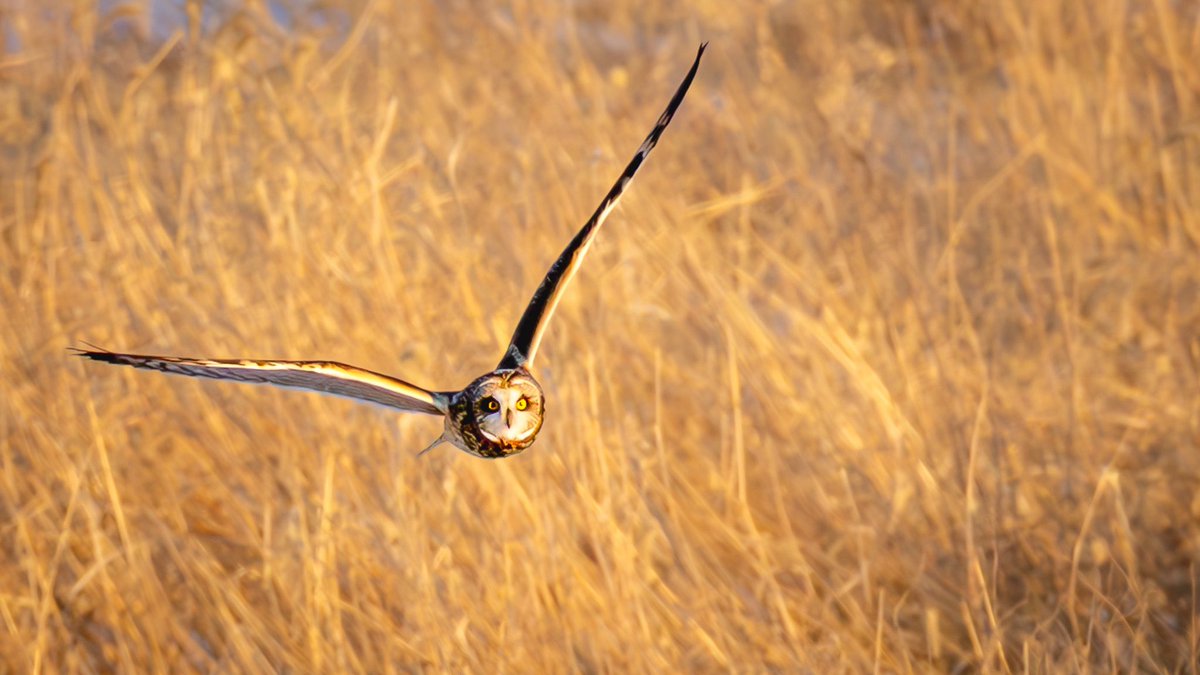 Dan Stambaugh tweet media