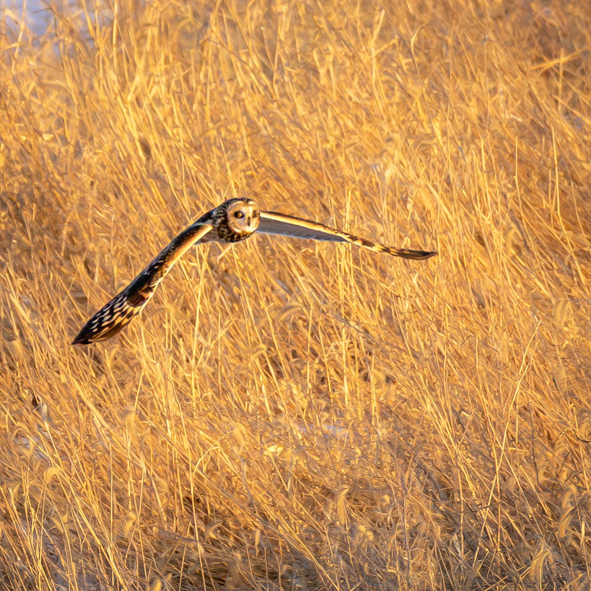 Dan Stambaugh tweet media