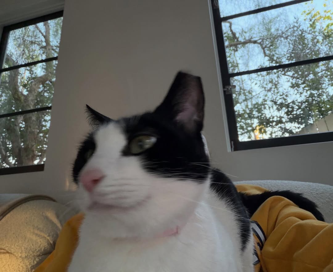 Updates Beer Brasil tweet media