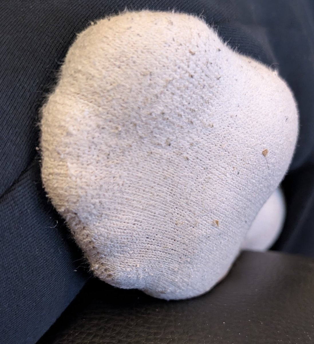 Alex Layfield (alexlayfield.bsky.social) tweet media