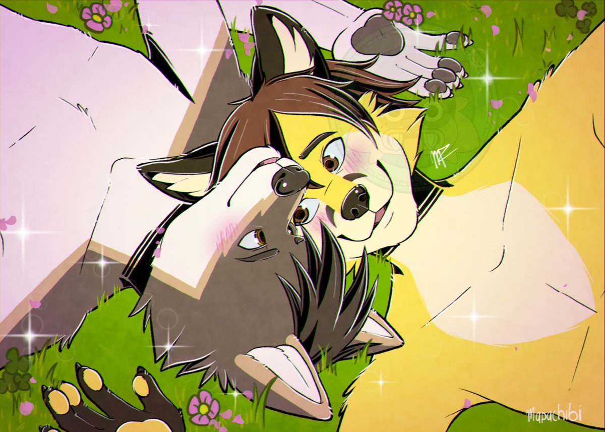 Griffin Dreamblazer 🐺 tweet media