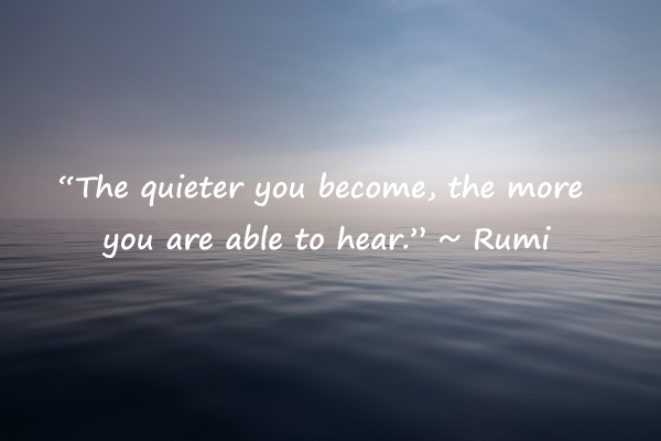 The Mindfulness Meditation Institute tweet media