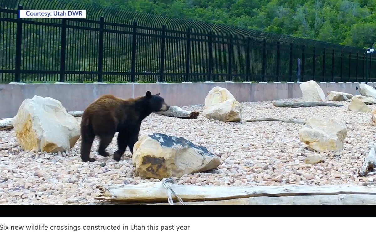 Ken Layne tweet media