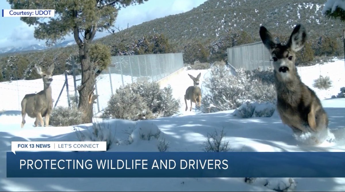 Ken Layne tweet media