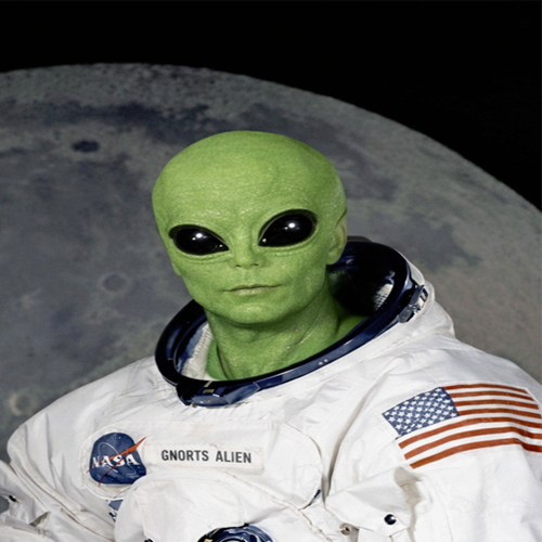 SpiceIce tweet media